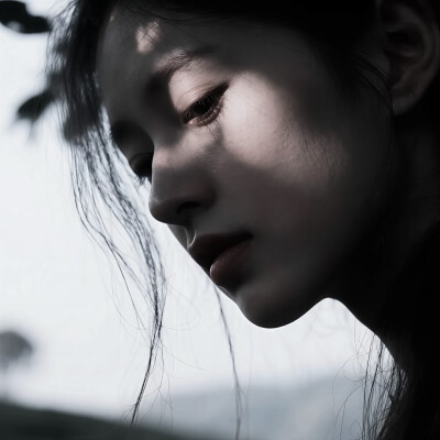 杨梅