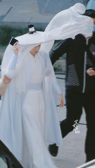 《皓衣行》【楚晚宁】罗云熙