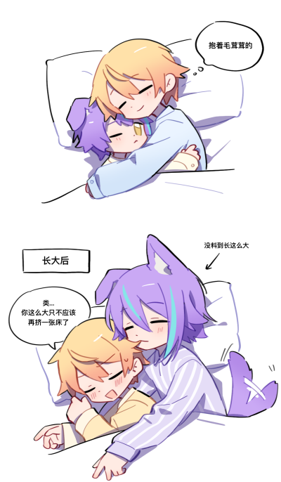 类司