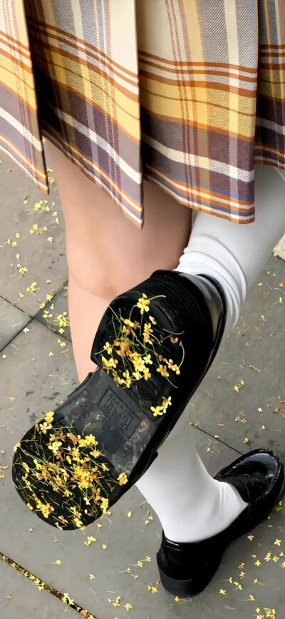 侵删