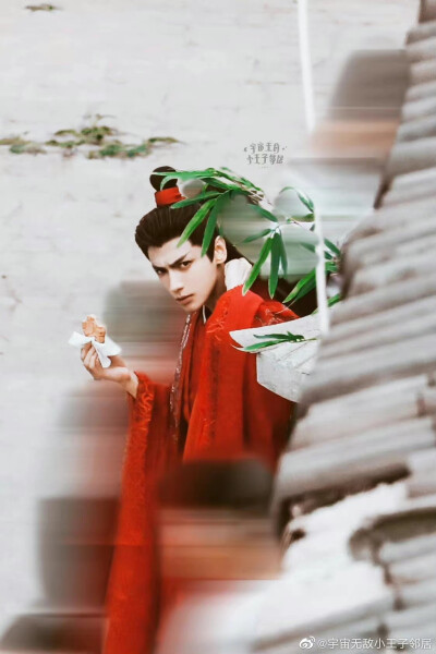 《皓衣行》【楚晚宁】罗云熙