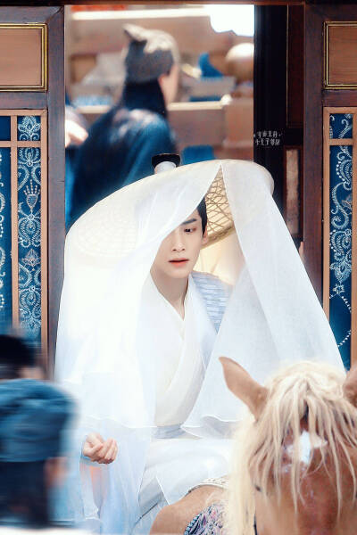 《皓衣行》【楚晚宁】罗云熙