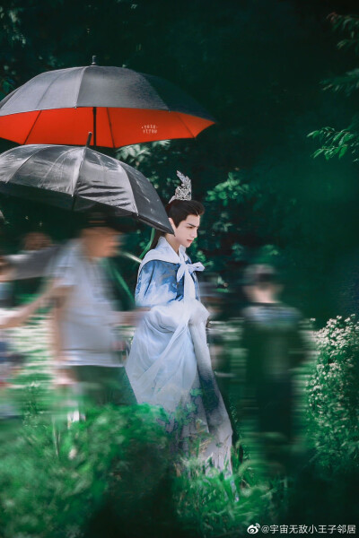 《皓衣行》【楚晚宁】罗云熙