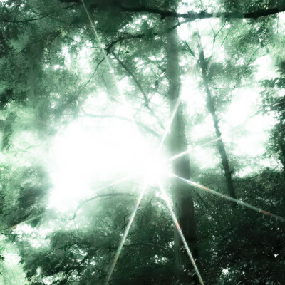 枫搖曳的體贴<꽃이 시들다>*i ngan fhios.