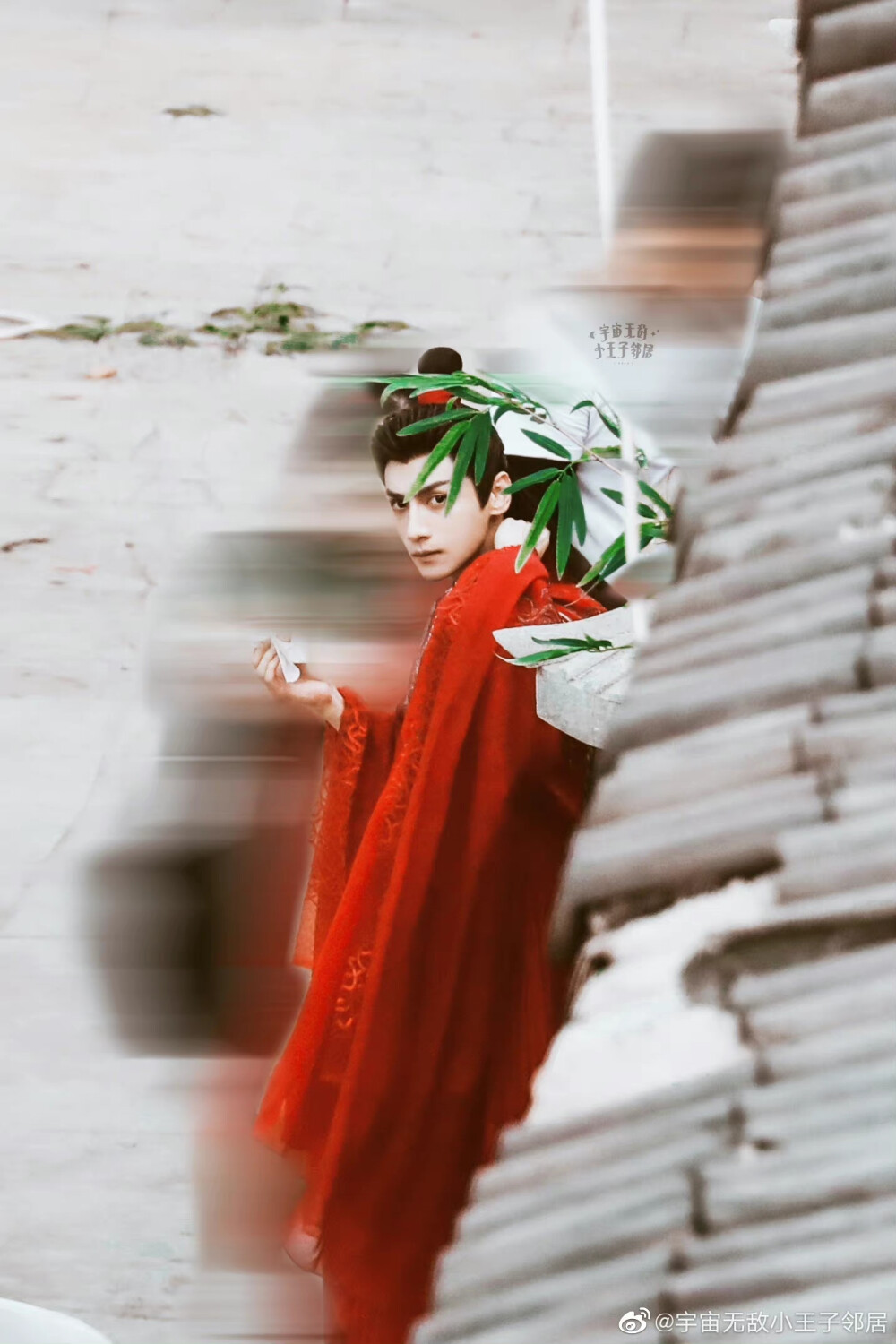 《皓衣行》【楚晚宁】罗云熙