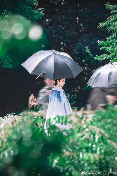 《皓衣行》【楚晚宁】罗云熙