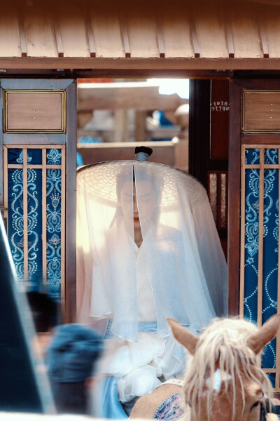 《皓衣行》【楚晚宁】罗云熙