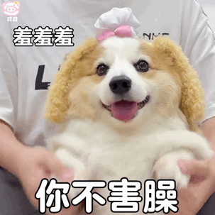 狗狗表情包
可爱的表情包