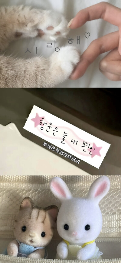 自制壁纸