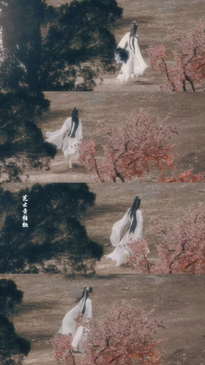 《皓衣行》【楚晚宁】罗云熙