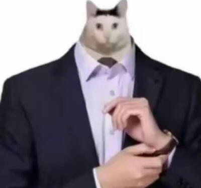 猫咪头像