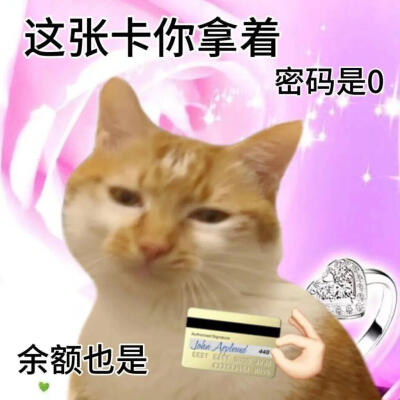 这张卡你拿着
密码是0
余额也是