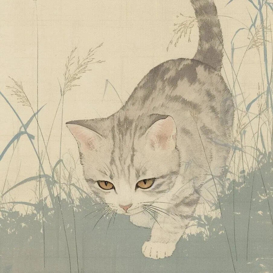 猫咪 浮世绘