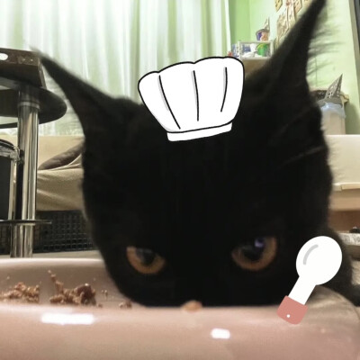小可爱们