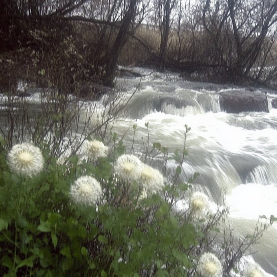 天气蒙蒙 你也萌萌