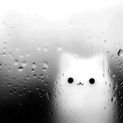 
小狗汪汪小狗汪汪