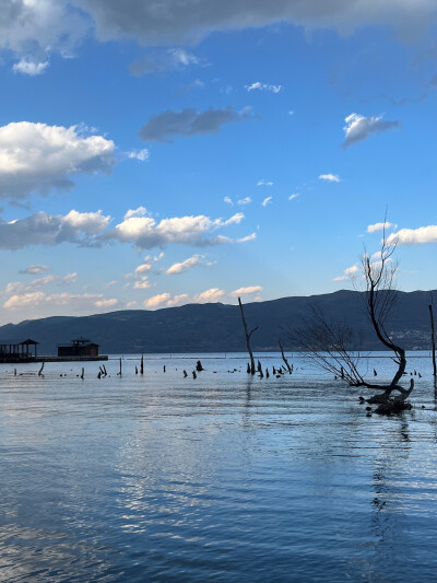 大理洱海