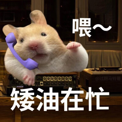表情包
