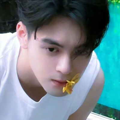 忘记从哪保存的了