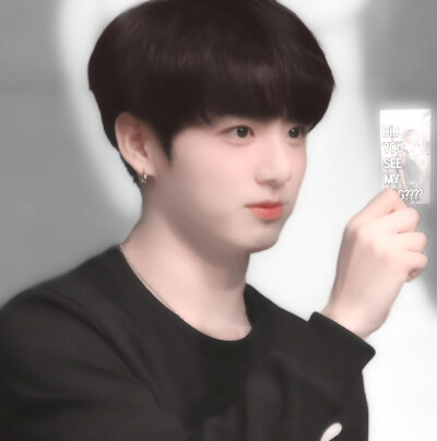 
小狗汪汪小狗汪汪