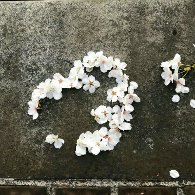 图源ks：偷喝汽水