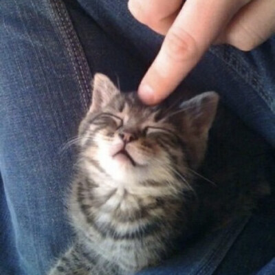 ^ω^