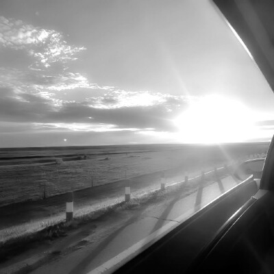 
小狗汪汪小狗汪汪