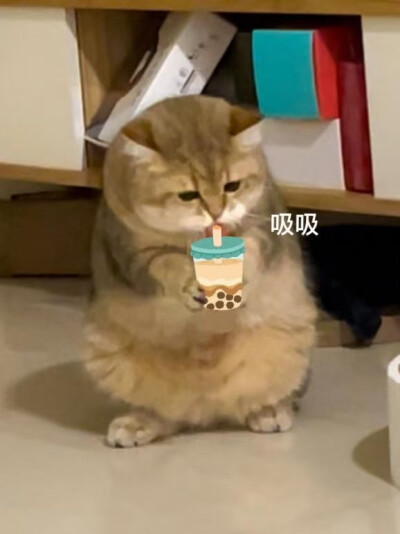 表情包