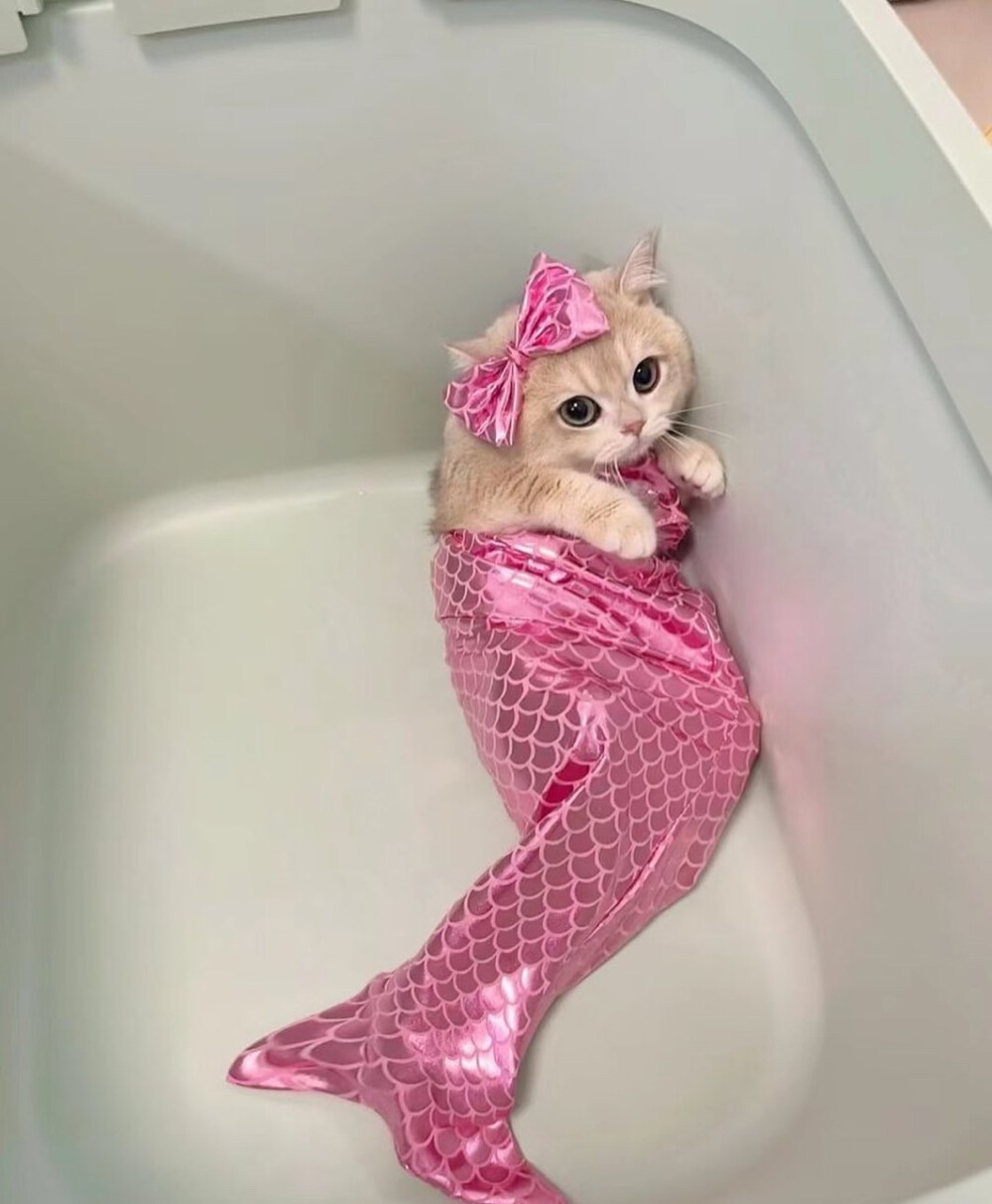 mimimamomomimsmimimumamumomo