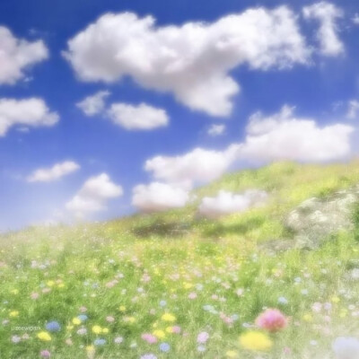 天气蒙蒙 你也萌萌