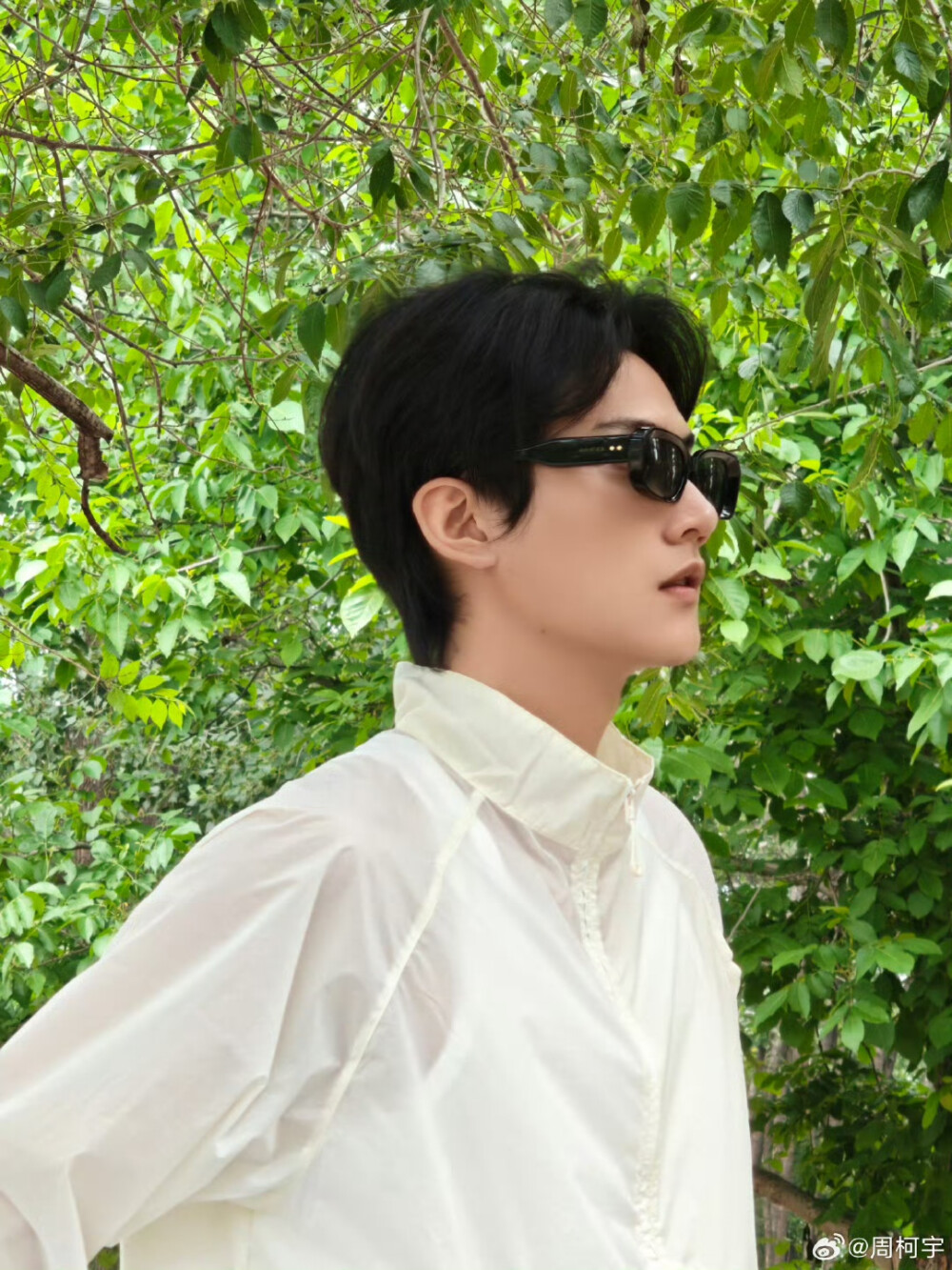 周柯宇