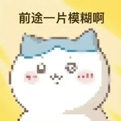 表情包