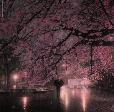 金汎修BEOSMOO套图可二改
©一只多多鱼