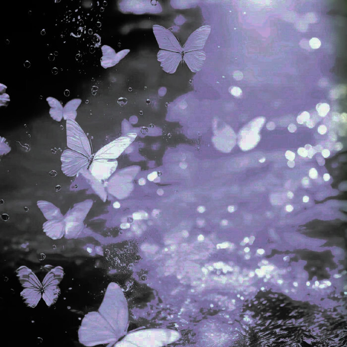 Aimer soi-même...°永生蝶-자기인식