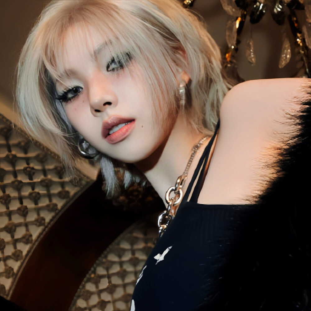 二改注明陈文嘉