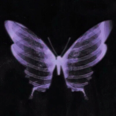 Aimer soi-même...°永生蝶-자기인식