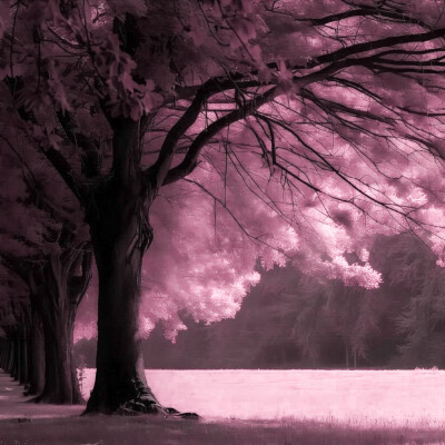 金汎修BEOSMOO套图可二改
©一只多多鱼