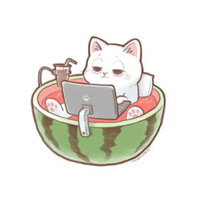 猫咪头像