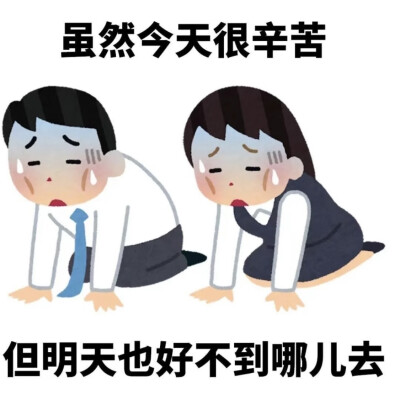 表情包