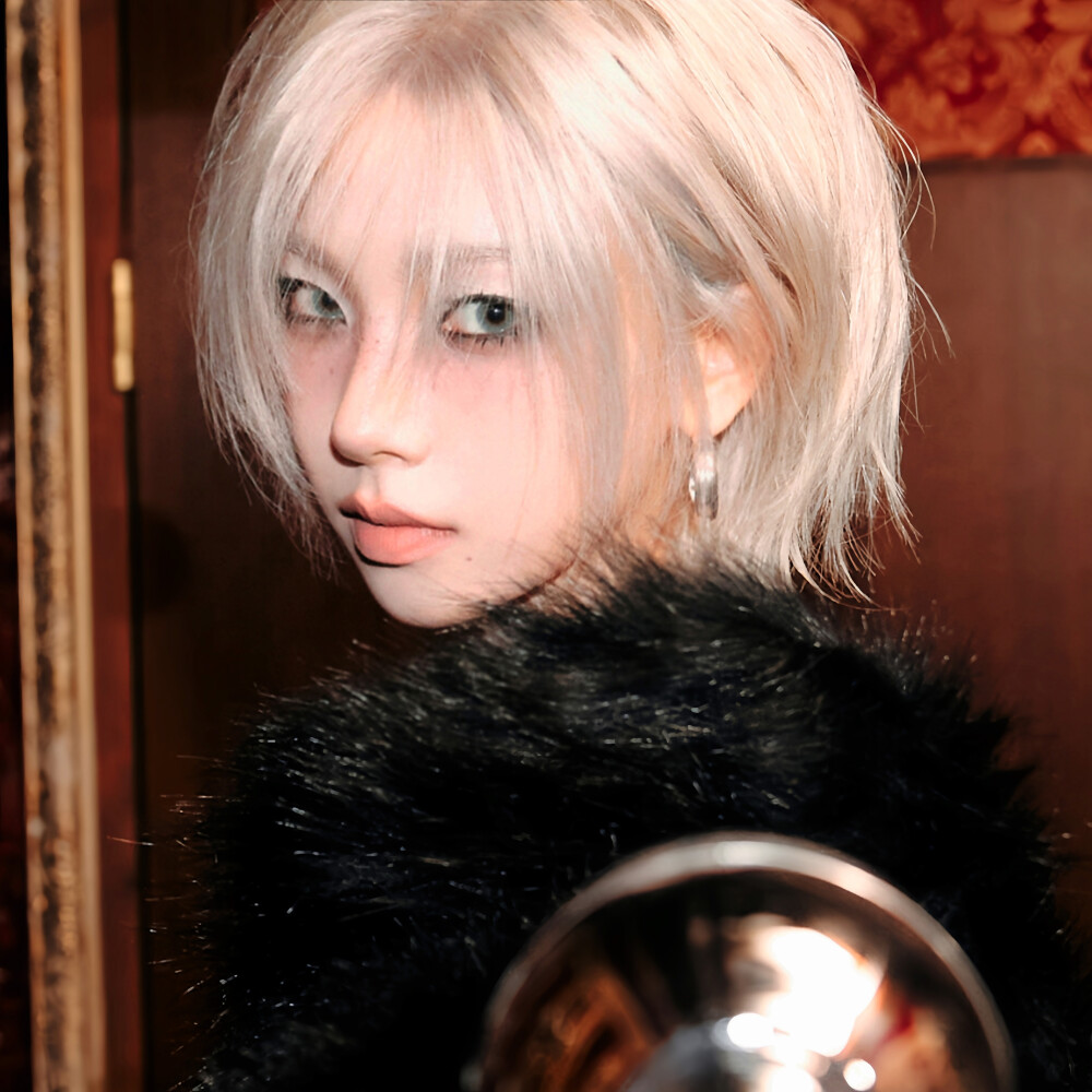 二改注明陈文嘉