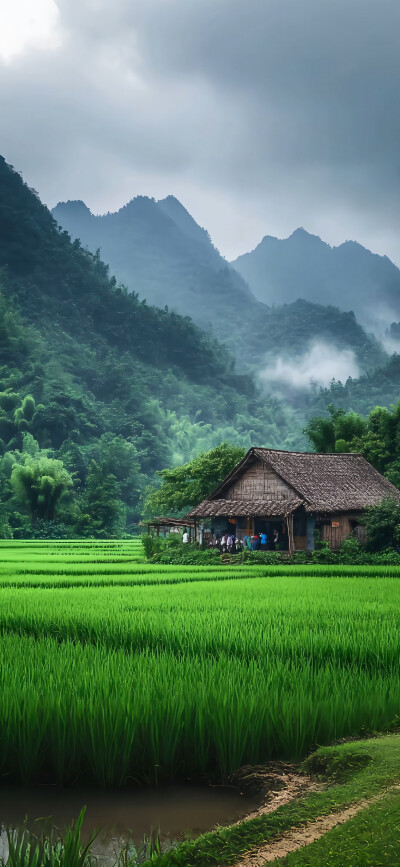 手机壁纸