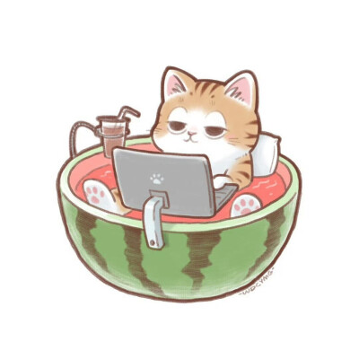 猫咪头像
