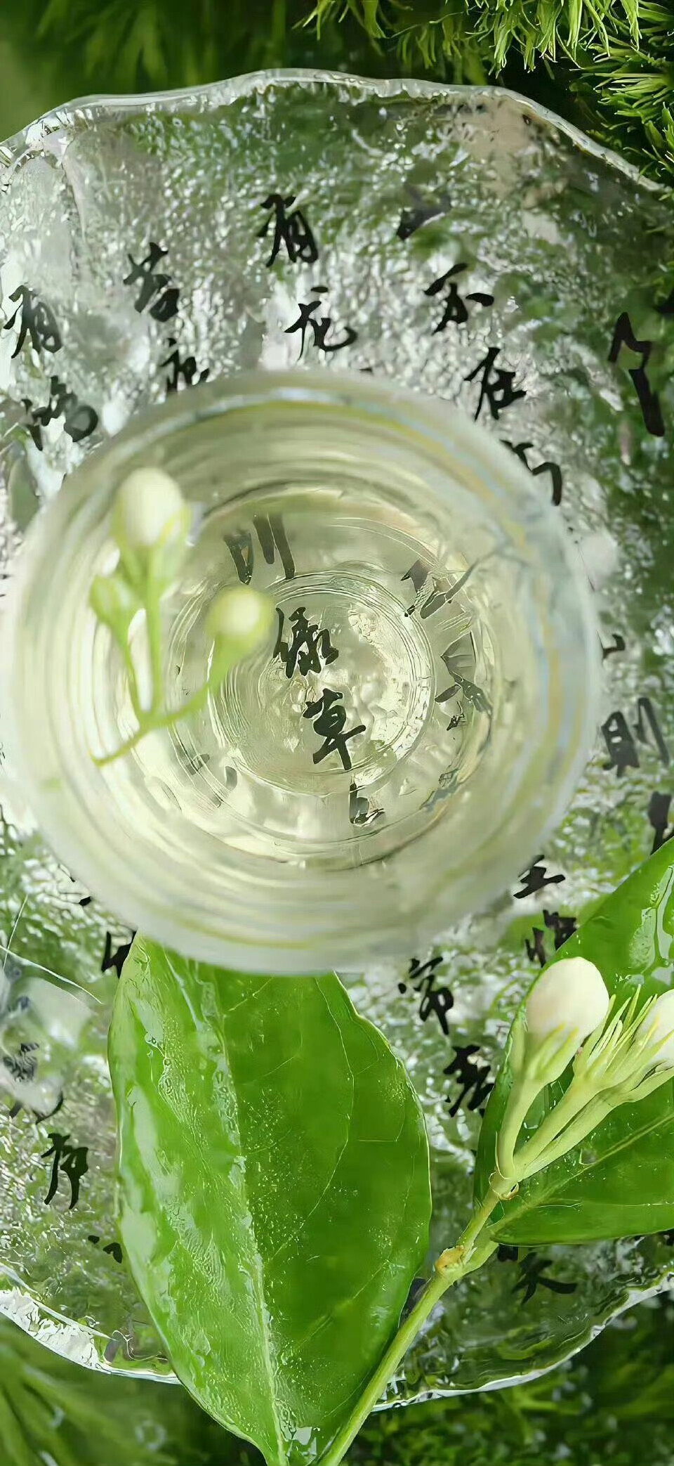 夏日绿色壁纸.ᐟ.ᐟ
#小清新壁纸#
