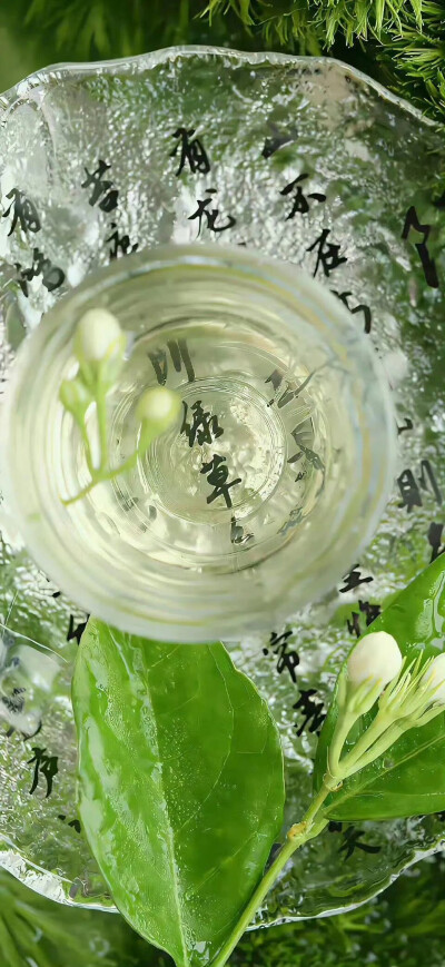 夏日绿色壁纸.ᐟ.ᐟ
#小清新壁纸#