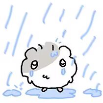 可爱表情包