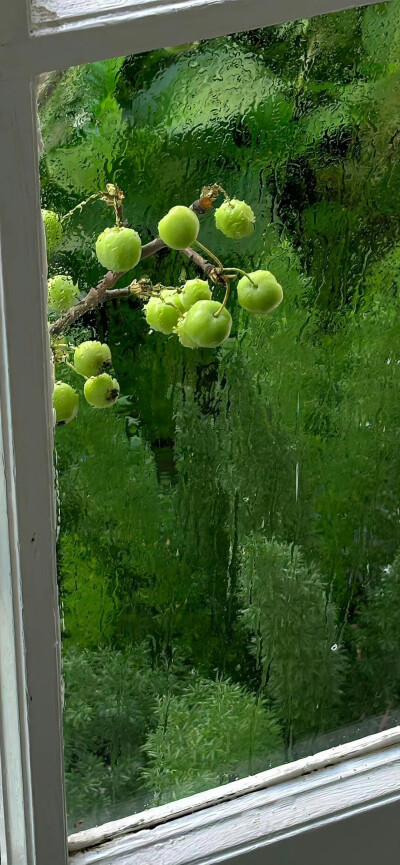 夏日绿色壁纸.ᐟ.ᐟ
#小清新壁纸#