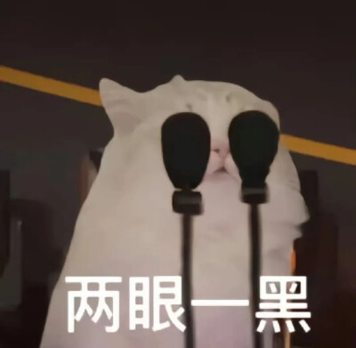 表情包
图片来源于网络 侵删