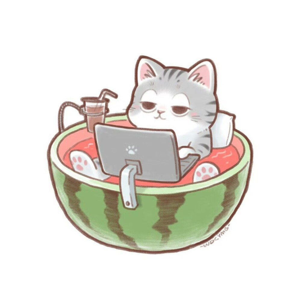 猫咪头像