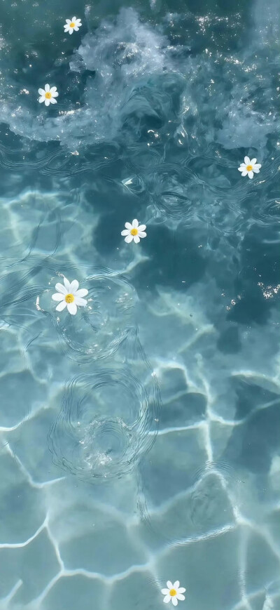 手机壁纸