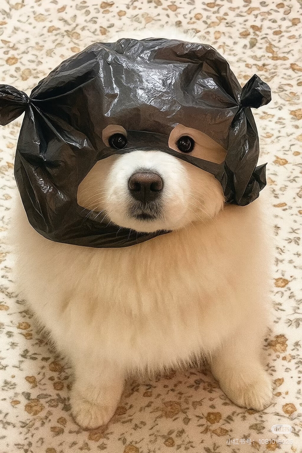 可爱耶耶